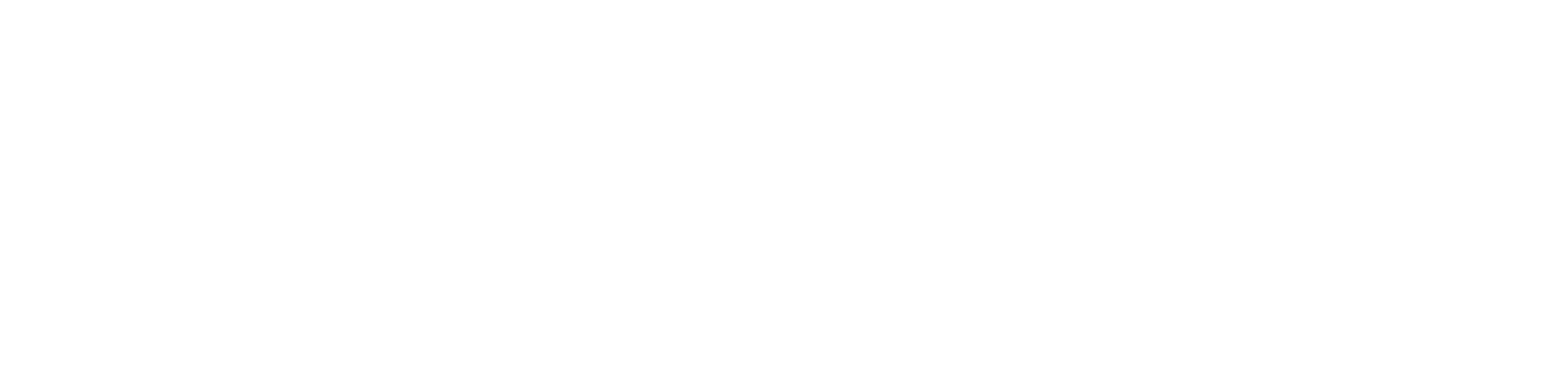 Aksis Oto Logo